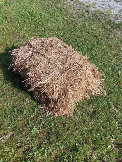 Stroh Kleinballen