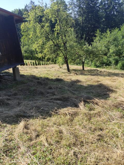 Futter zu verkaufen