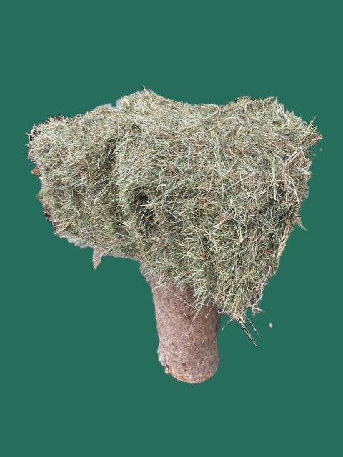 30 Kleinballen erstklassiges Wiesenheu 2. Schnitt