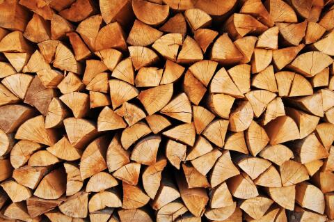 Brennholz, hart, trocken