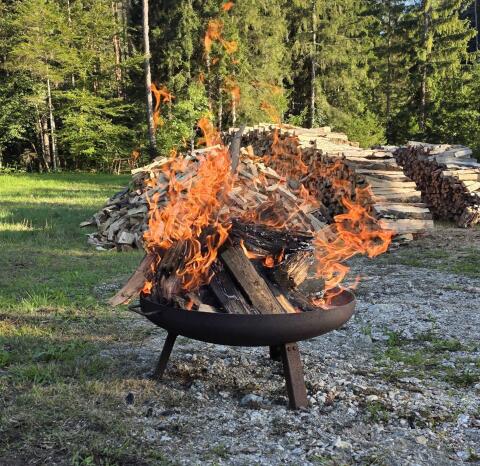 Buchenscheitholz 1 m lang, Buchenholz, Brennholz