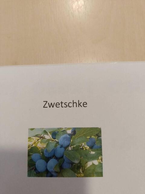 Schnaps