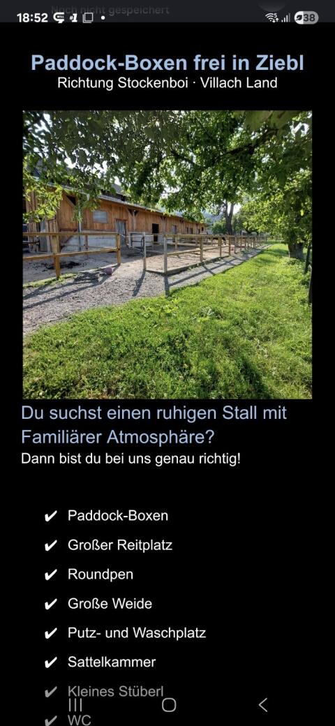 Paddock-Box frei.