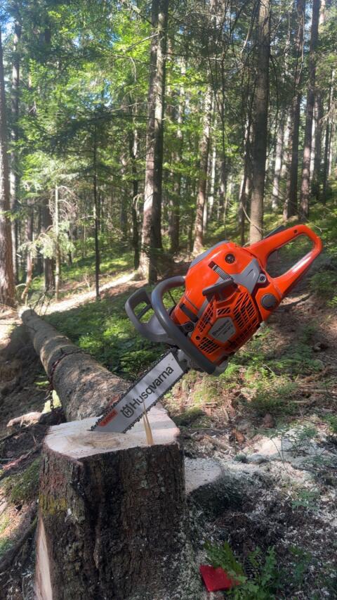 Holzschlägerung Raum Weiz