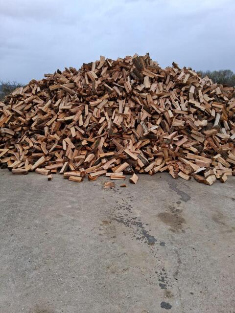 Holz