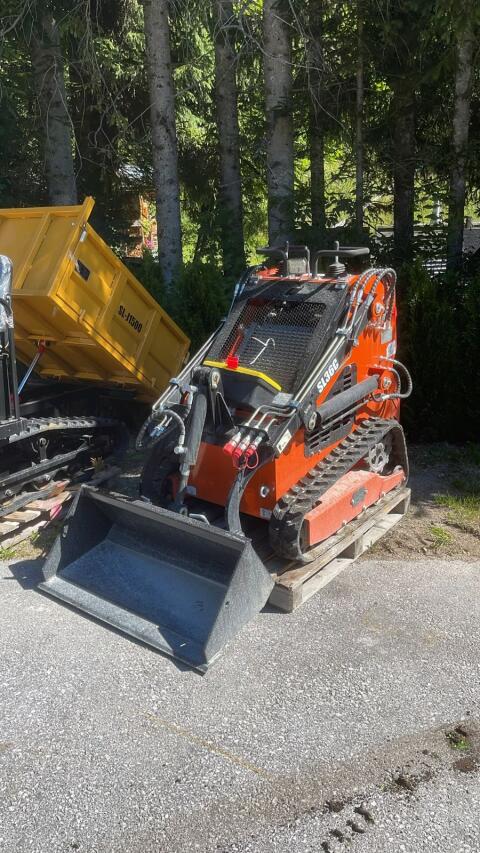 Raupenlader, Lader, Hoflader