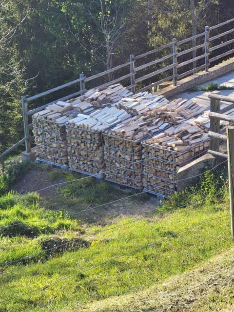 Brennholz