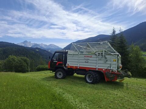 Suche Reform Muli 565, 575, T6 oder T7