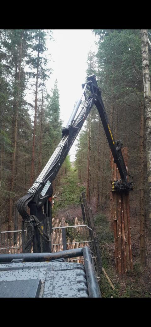 Faserholz