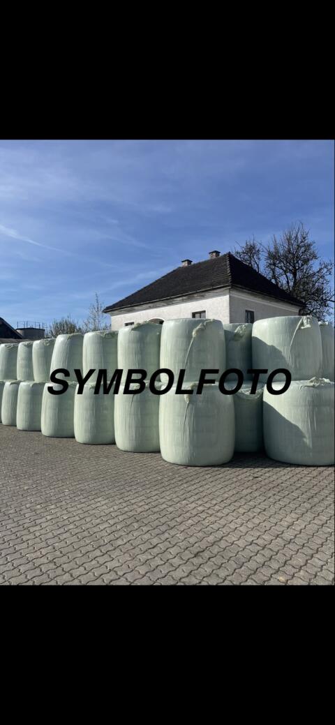 Maisballen Ernte 26