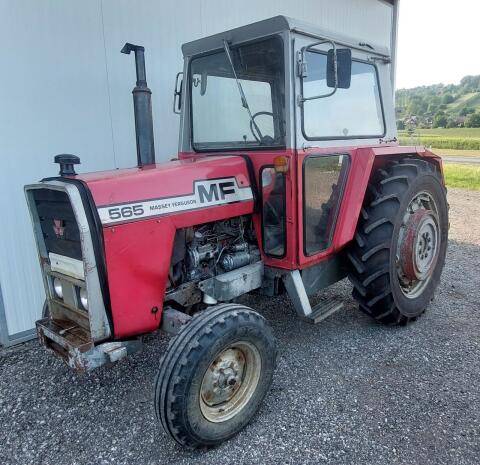Massey Ferguson 565 Pickerlfrei MP