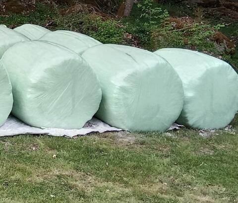 Suche Gras-, Heu- und Maisballen