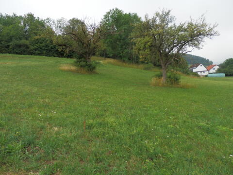 Hangwiese, Bauerwartungsland, 1.976 m²
