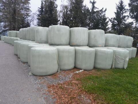 Suche Siloballen