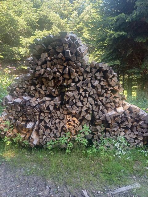 Buchenbrennholz