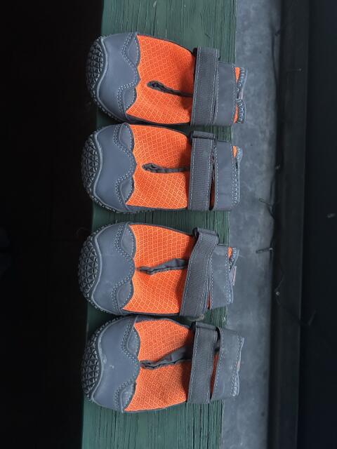 Neonorange Hundeschuhe