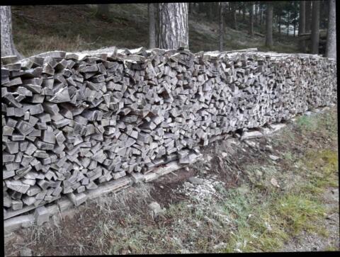 Brennholz