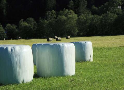 Silageballen