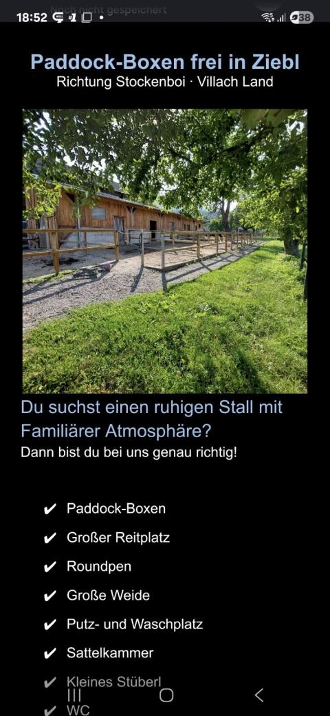 Paddock-Box frei.