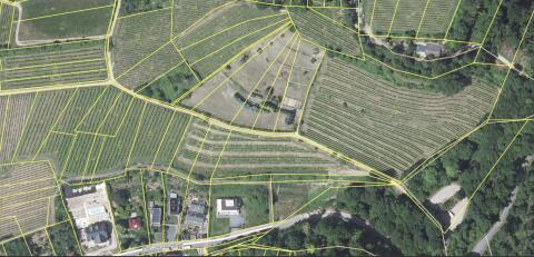 Weinberg zu verpachten ab 2027, 1,19 ha Steillage in Bensheim