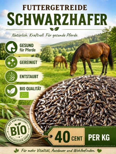 Bio Schwarzhafer