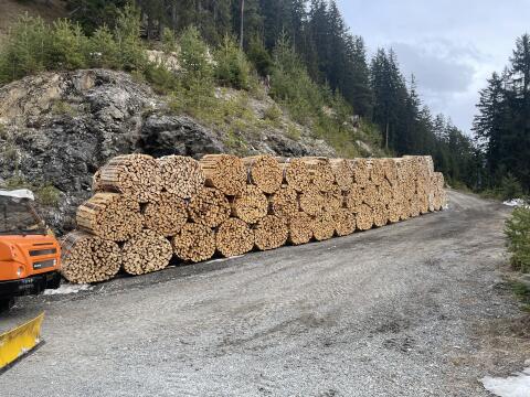 Brennholz