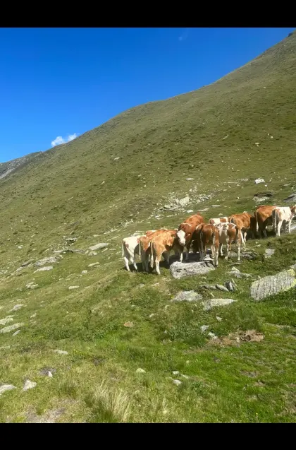 Landwirtschaft