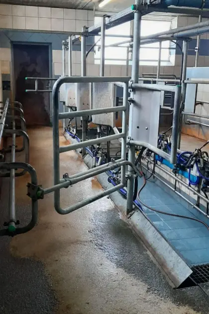 Melkstand