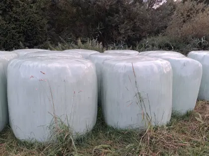 Siloballen Bio