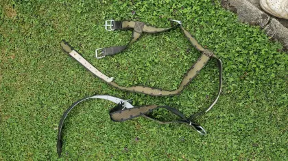 Kuhhalfter und Halsband