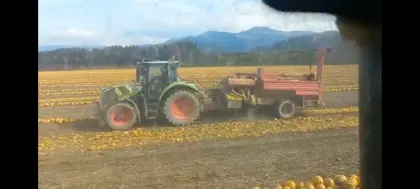 Kürbiserntemaschinen Moty KE 3000