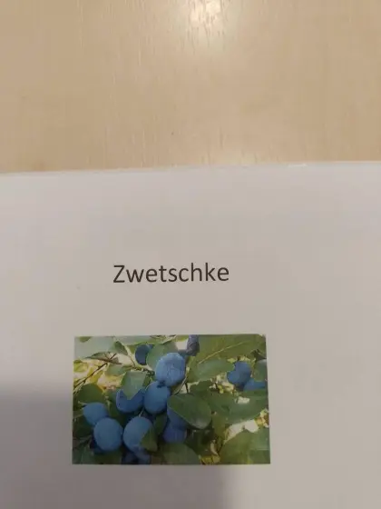 Schnaps