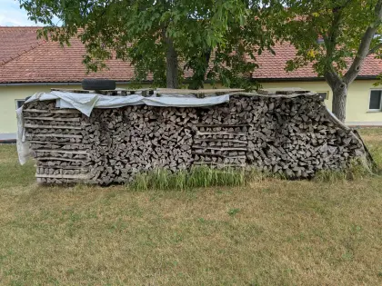 Brennholz hart
