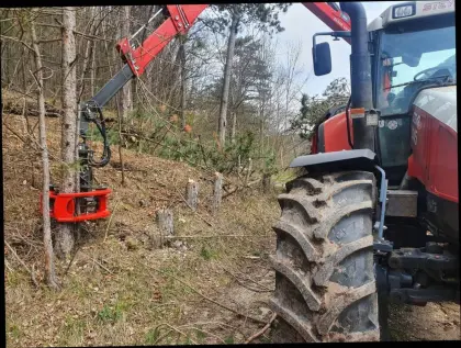 Energieholzernte