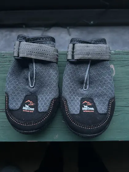 Hundeschuhe