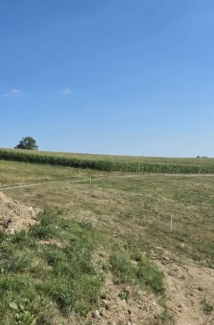 Maissilage zu verkaufen, Ernte 2026