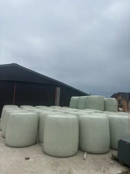 Lieschkolbensilageballen