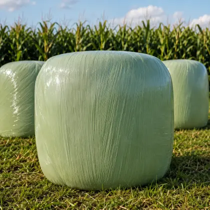 Bio-Maissilageballen