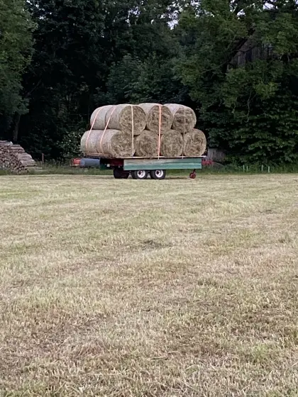 Suche Heuballen