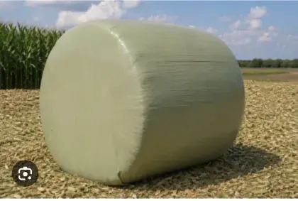 Suche Siloballen