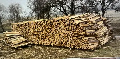Brennholz Fi./Ki.