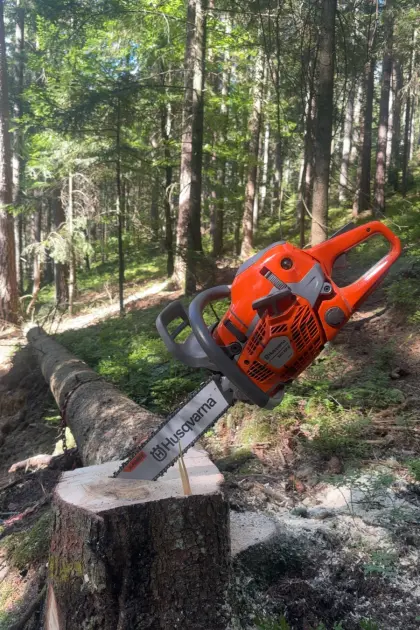 Holzschlägerung Raum Weiz