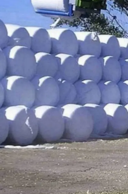 Maisballen, Silomaisballen