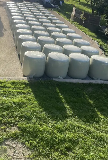 Maisballen
