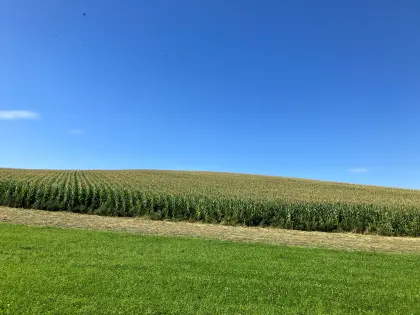 Bio-Mais