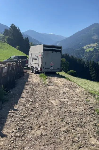 Schlögl Viehanhänger