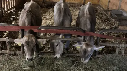 Verkaufe