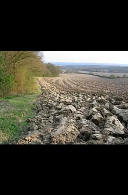 Suche Acker oder Wiese