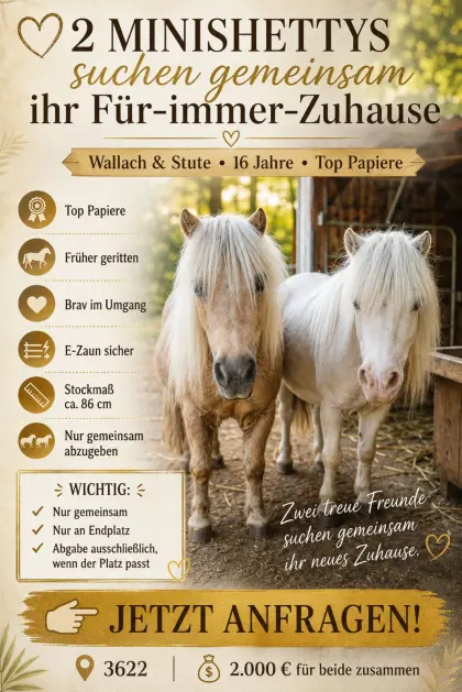 2 kinderliebe Minis auf Bestplatz