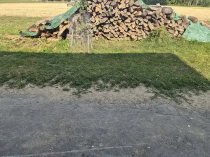 Brennholz
